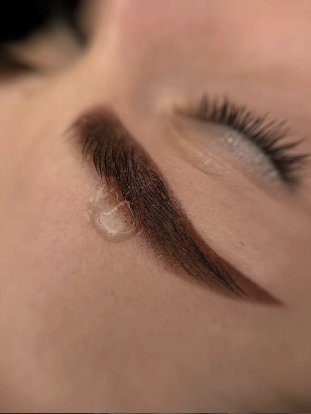 Powder Brows healed result NYC